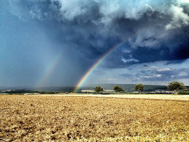 Regenbogen
