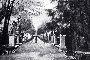 Der Eingang zum Park im Jahr 1904. Ein eisernes Tor konnte den Zugang zum "Chaiseweg&quot, der heutigen Rotlintallee, versperren.