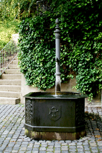 Foto Born-Brunnen